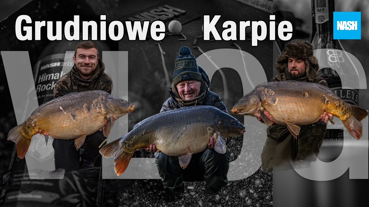 Grudniowe Karpie - VLOG Karol Wiśniewski + Jan Zawada + Nash Team Polska