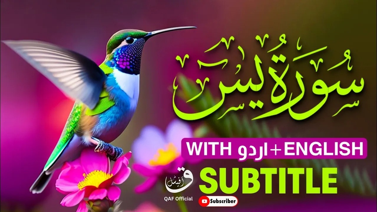 Surah Ya-sin | Surah Yaseen full | سورۃ یس | with Urdu & English translation | @qafofficial
