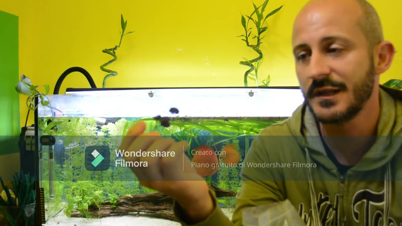 Come ridurre PH e Kh in acquario naturalmente