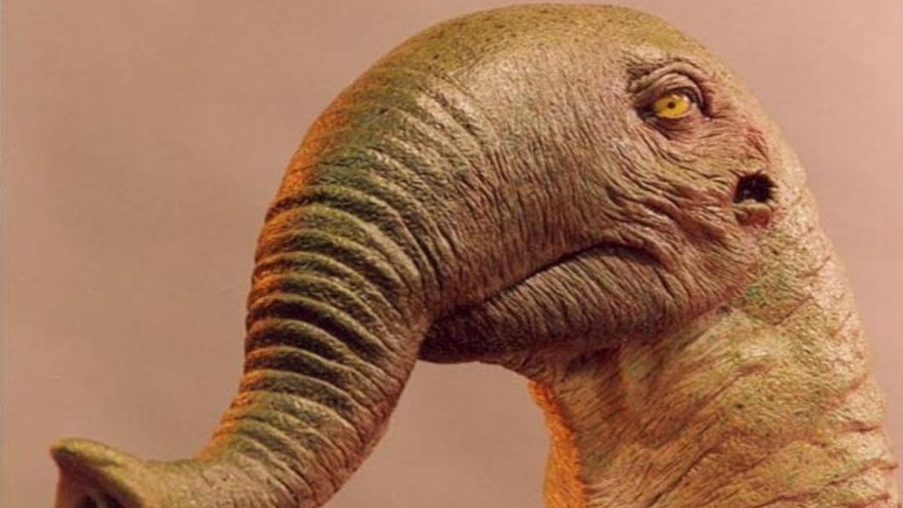 Trunked Sauropods - Contradictions and Comparisons