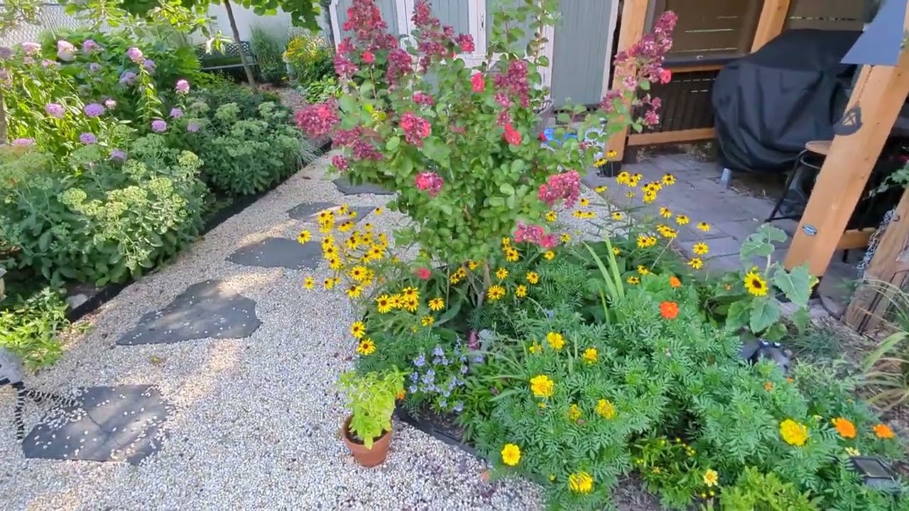 Bob's Glenolden Garden August 2025