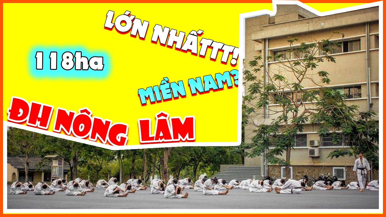 Đại Học Nông Lâm: Trường ĐH Lớn Nhất TPHCM Với KTX Miễn Phí | Review Trường ĐH #19 | SuperTeo
