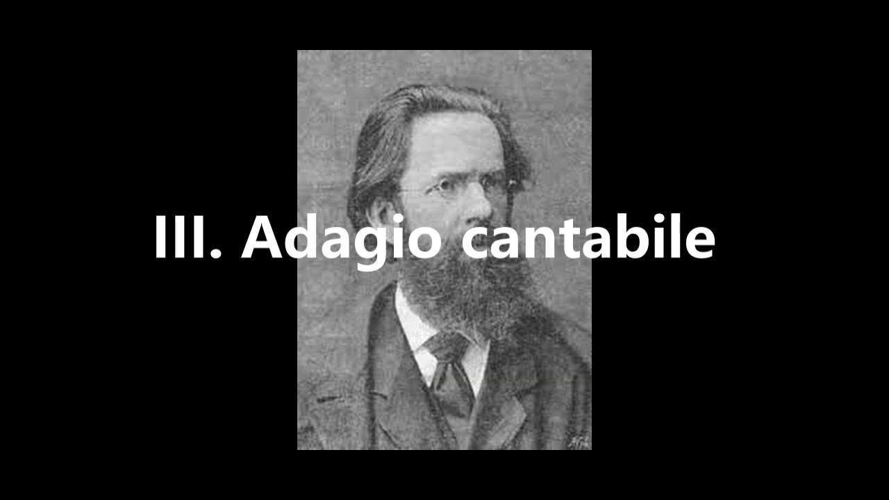 Gyula Beliczay: Serenade for Strings in D minor, Op  36