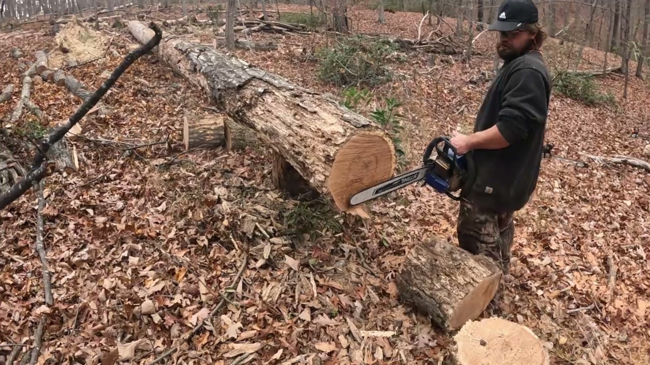 Ported g444 hybrid cutting red oak