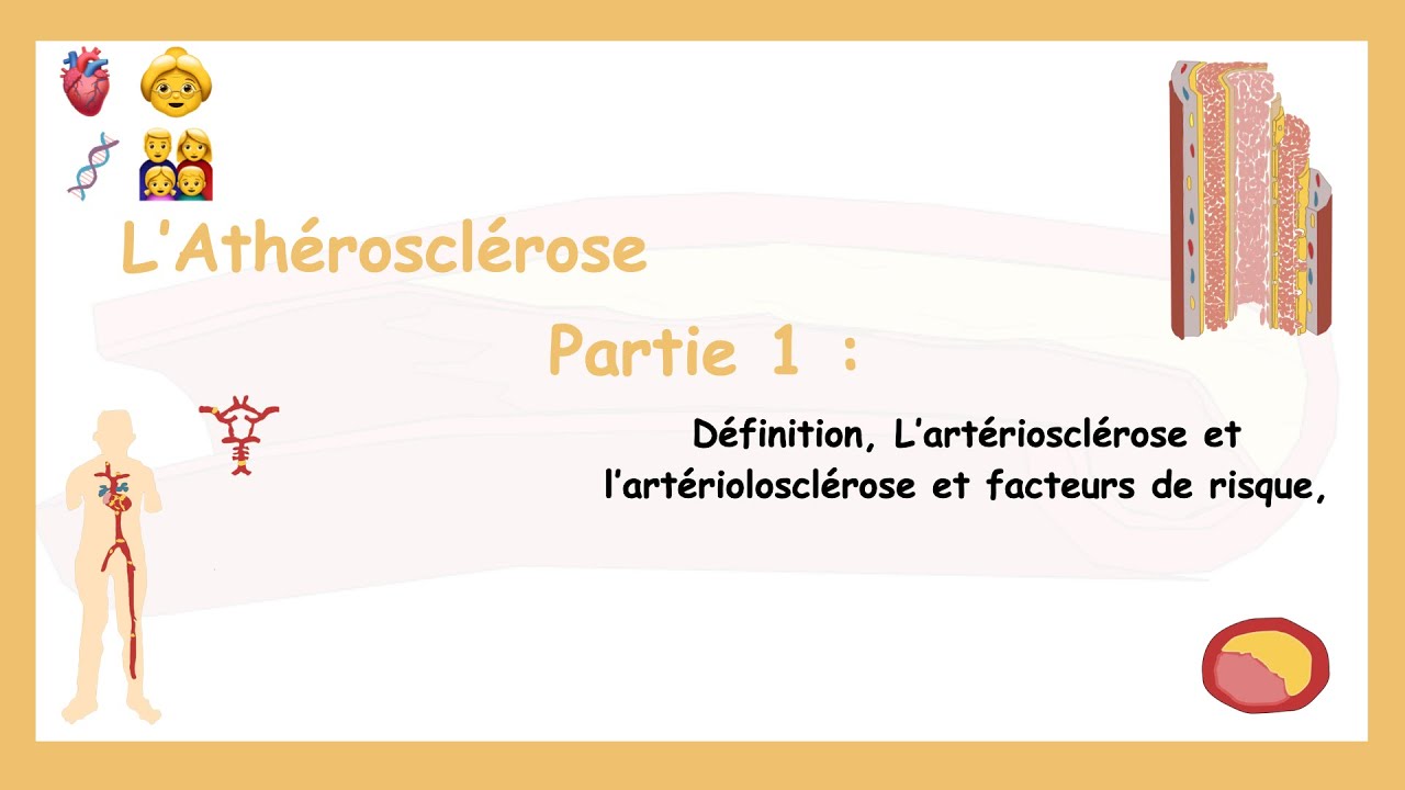 Athérosclérose (Partie 1): Définition, Artériosclérose, Facteurs De Risque, Structure Des Vaisseaux.