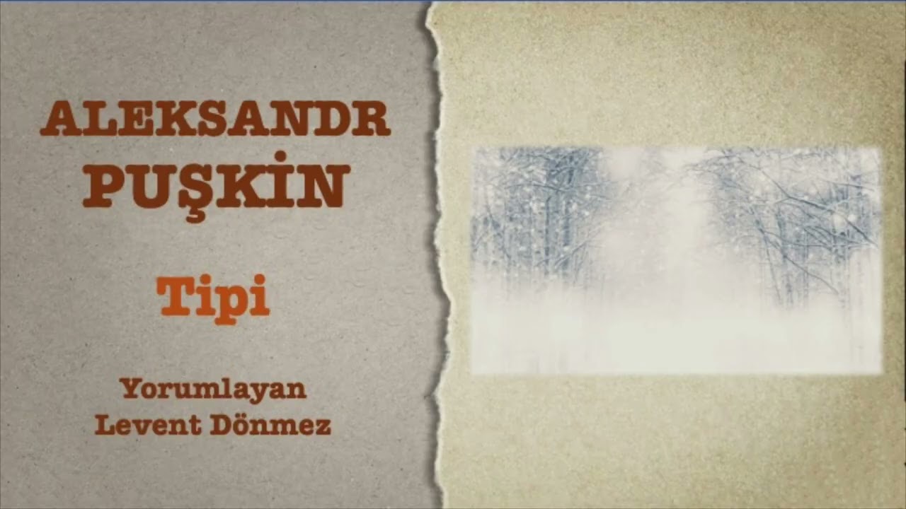 Aleksandr Puşkin - Tipi