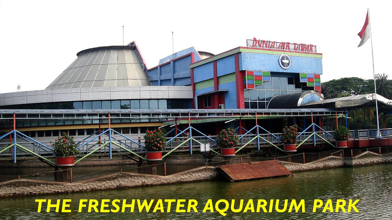 Taman Akuarium Air Tawar - Dunia Air Tawar - Fresh Water Aquarium Park