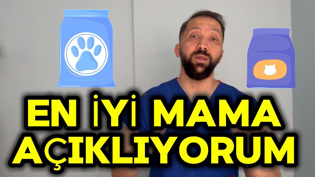 KEDİNİZE EN İYİ MAMAYI NASIL SEÇERSİNİZ? / Etiket ve Protein Yorumlama Nasıl Yapılır? 1.Bölüm