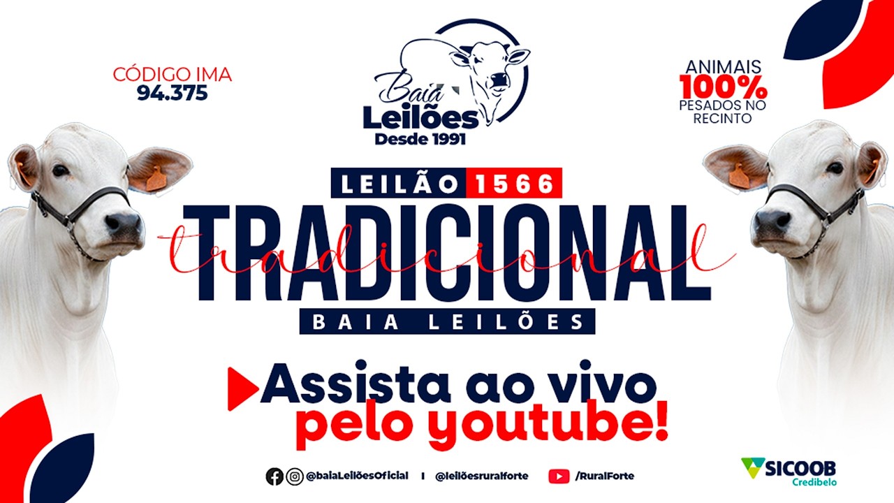 1.566° LEILÃO VIRTUAL DA BAIA LEILÕES, CAMPO BELO - MG, DIA 12/02/26