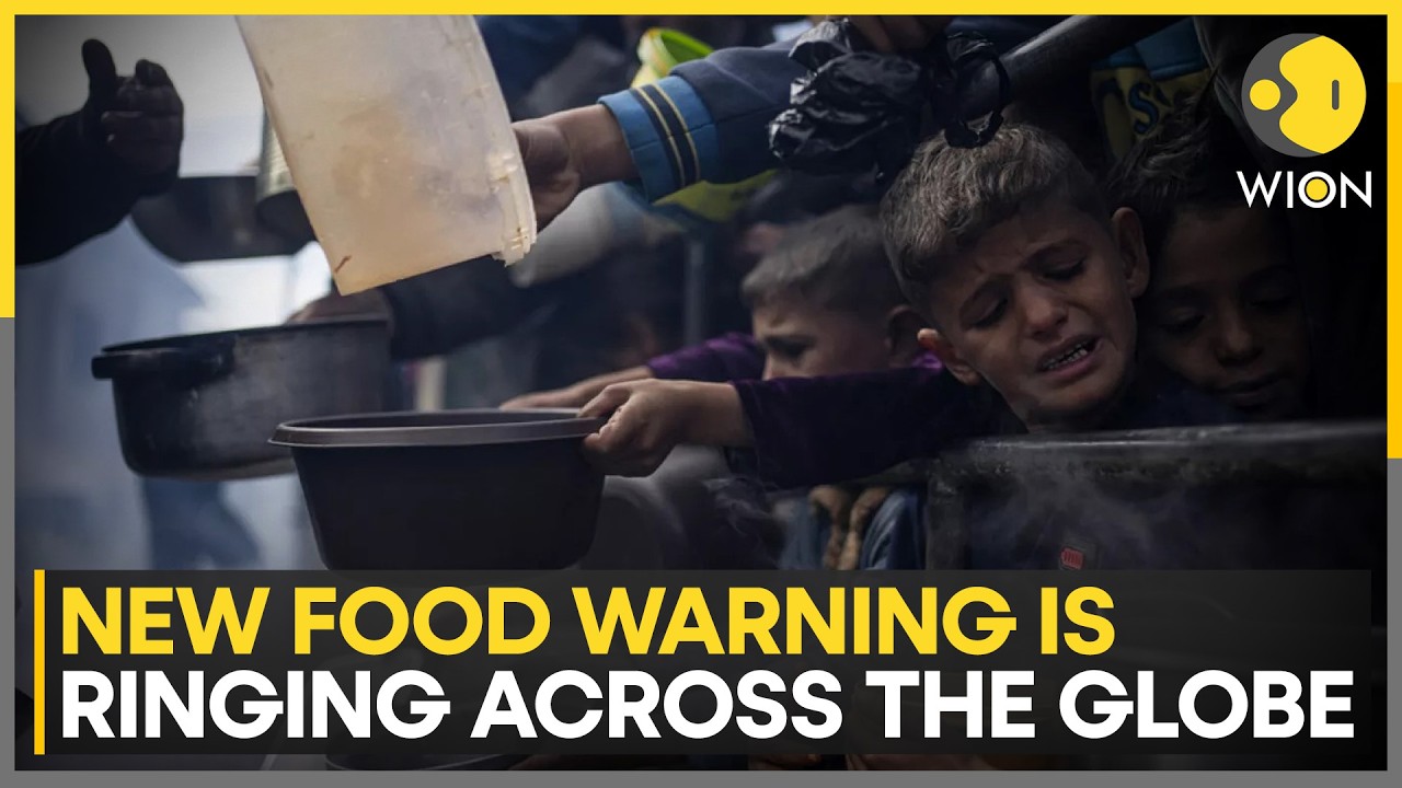El Nino and Iran War May Trigger Hunger Crisis; Up to 125m Need Urgent Food Aid Report Says | WION