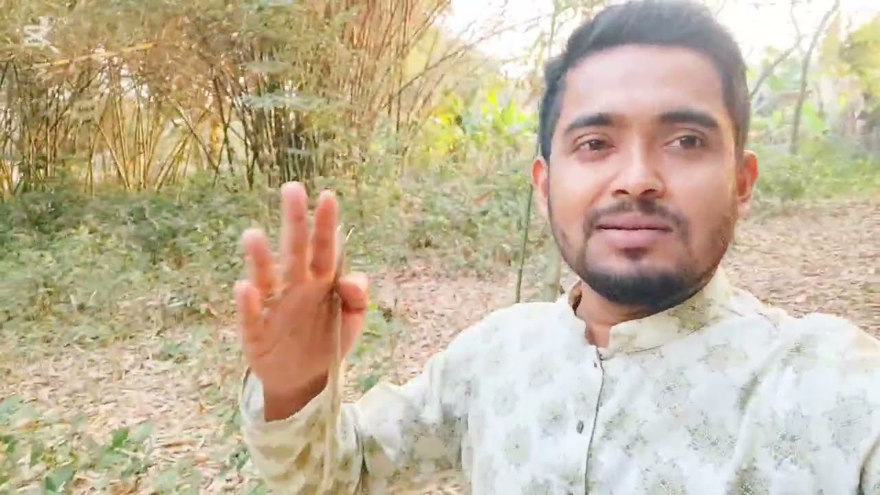 রোজাদারের মেসওয়াক || গ্রামীণ পরিবেশ || বাঁশবাগান || মহেশপুর, আলমডাঙ্গা, চুয়াডাঙ্গা || তৌফিক আহমেদ