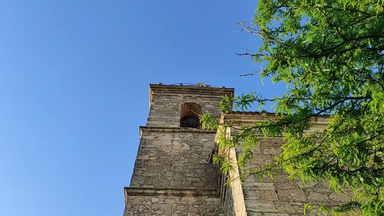 Volteo general de campanas de Saelices el día del cerro.
