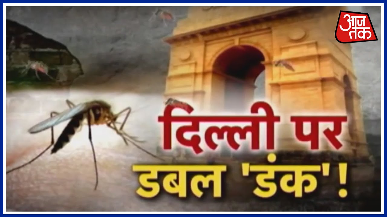 Dengue And Chikungunia Cases On The Rise In Delhi
