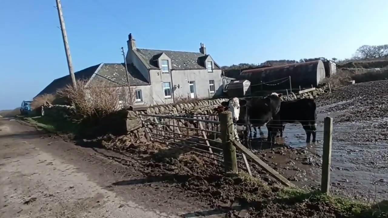 Day 6: Very special moments and a bad camping night on Gigha island, Scotland by Gemma Boyd