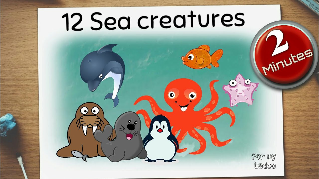 Learn sea creatures | educational video for children