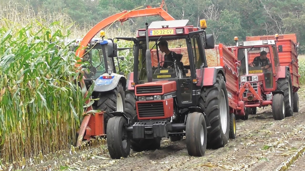 Harvesting team 5