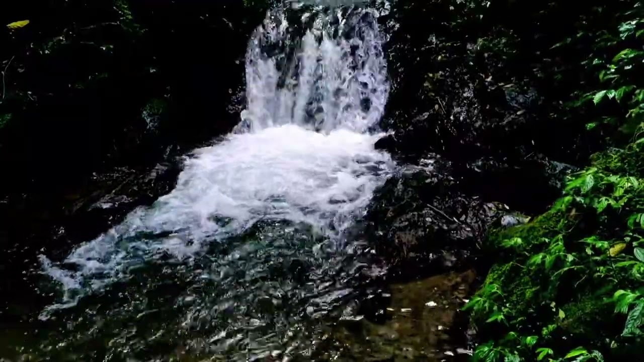 Pure River Sounds for Deep Sleep 🌊 No Music (10 Hours)