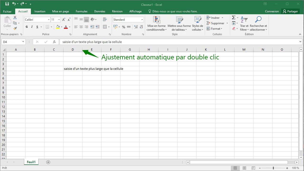 EXCEL 03 2 2 Cellule saisie texte long