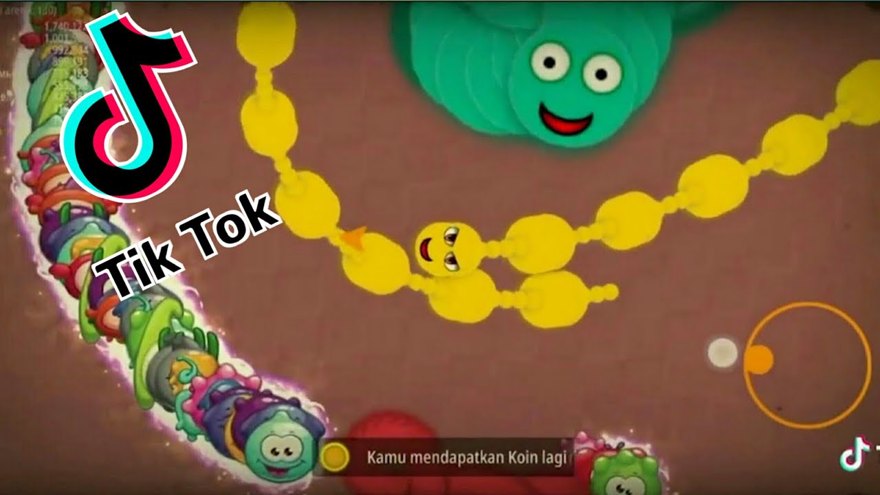 Kumpulan TikTok Cacing WormsZone.io terbaru (Kumpulan Worms Zone io TikTok)