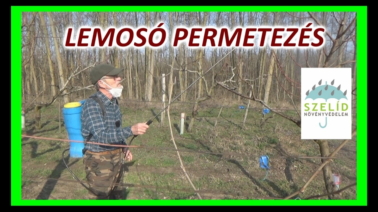 Lemosó permetezés szőlőben és gyümölcsösben