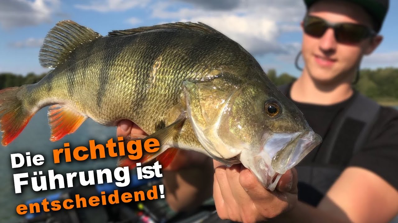 Mit der richtigen K&ouml;derf&uuml;hrung zum Gro&szlig;barsch | Angeln Maximal