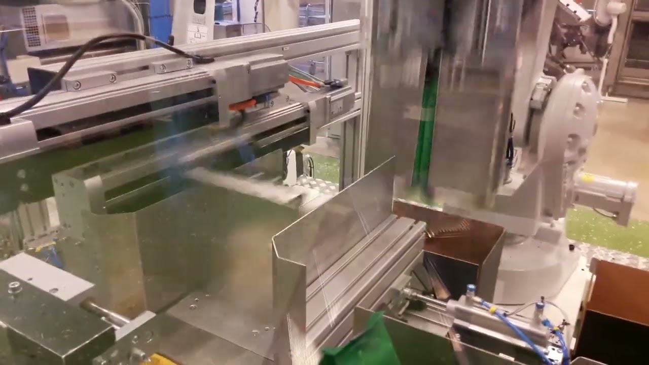 Vertical Bag Case Packing Line