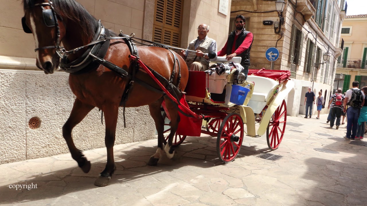 Palma de Mallorca 19 (Callejeando)