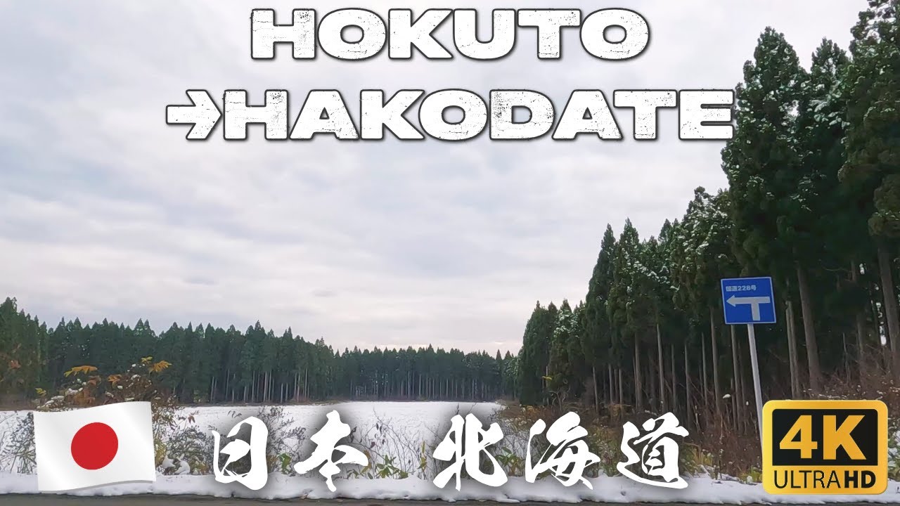 Hokkaido Winter Drive: Snowy Forest Road from Hokuto to Hakodate [4K]