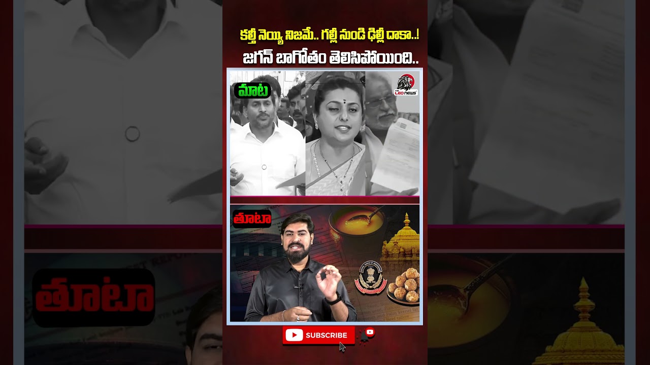 కల్తీ నెయ్యి నిజమే.. జగన్ బాగోతం తెలిసిపోయింది🙄#ysjagan #roja #tirumalaladduissue #ttdgheecase