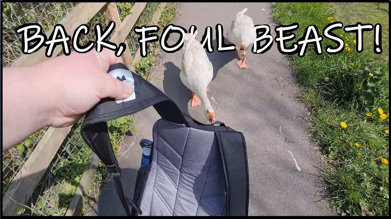 Attacked in Cwmbran 🏴󠁧󠁢󠁷󠁬󠁳󠁿