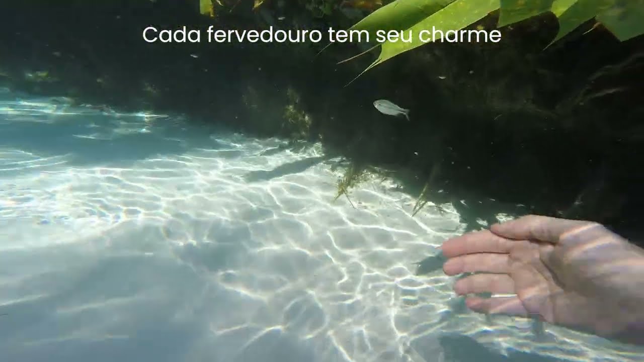 Fervedouros do Jalapão / Jalapão hot springs