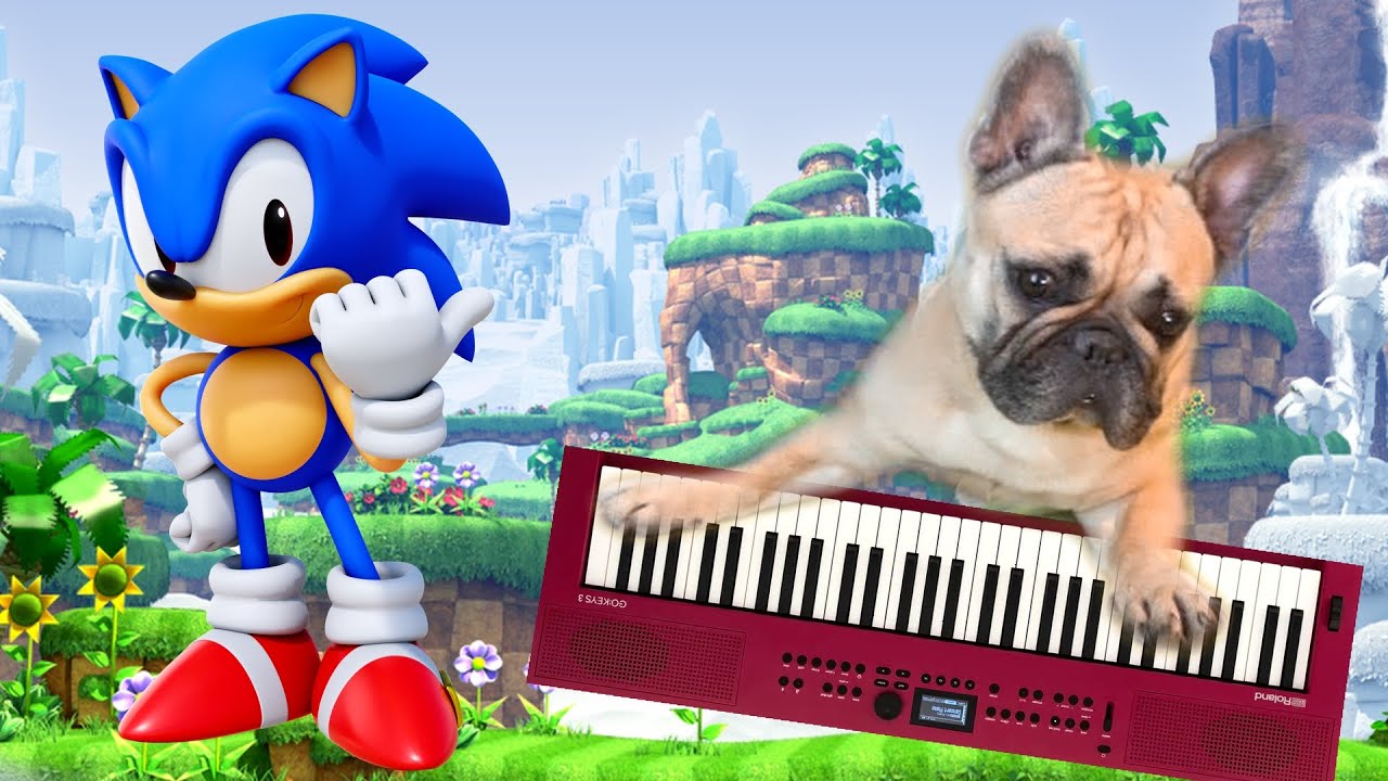 Dog Singing - Sonic the Hedgehog