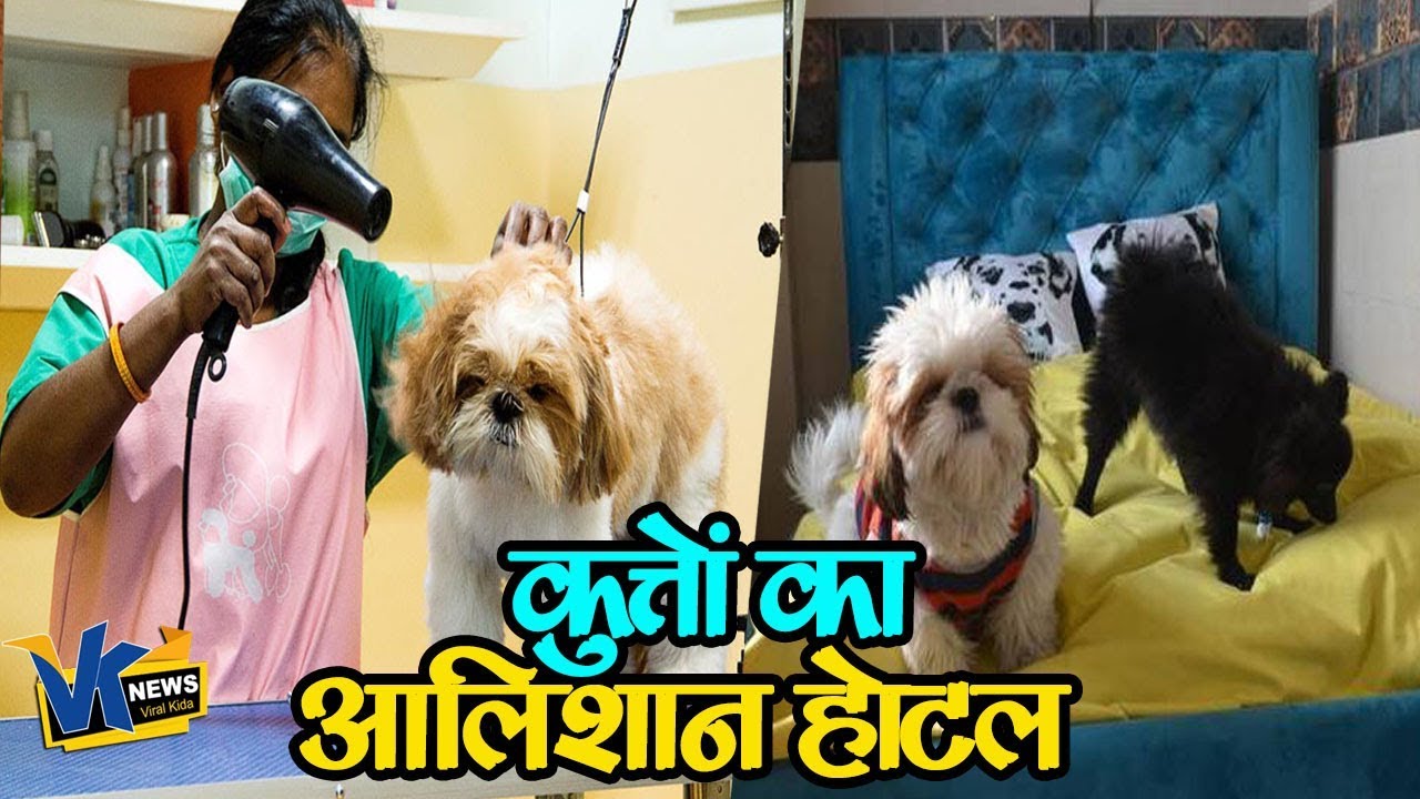 ये है देश का पहला कुत्तों का होटल, सुविधाएं देखकर दंग रह जाएंगे| India's first dog hotel in Gurugram