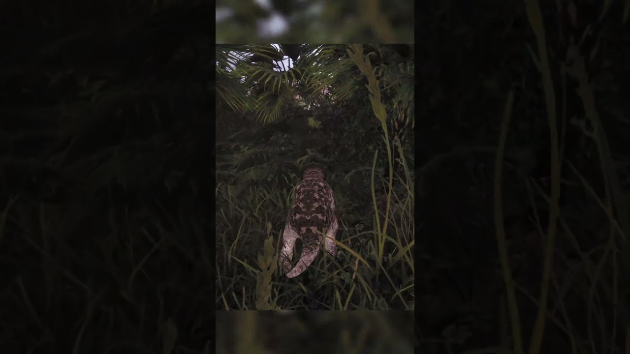 It can&rsquo;t be real 😭 | The Isle