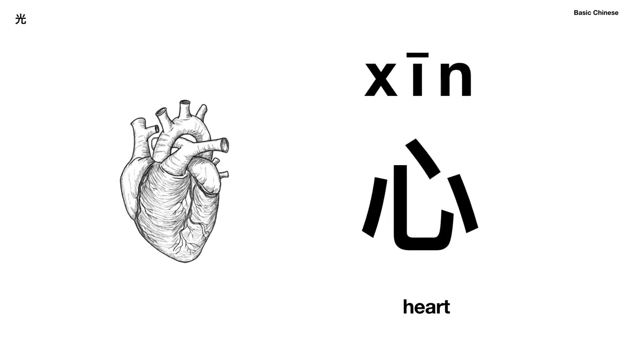 Learning Chinese Characters 11: hair skin heart light shell 学习汉字11: 毛 皮 心 光 贝