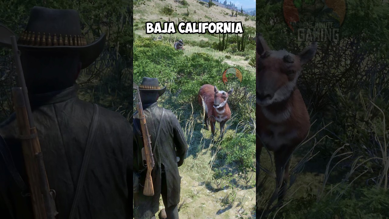 RDR2: 5 ЗАВЕРШЕННЫХ локаций ВНЕ КАРТЫ #rdr2 #gaming #arthurmorgan #rdo #rockstar