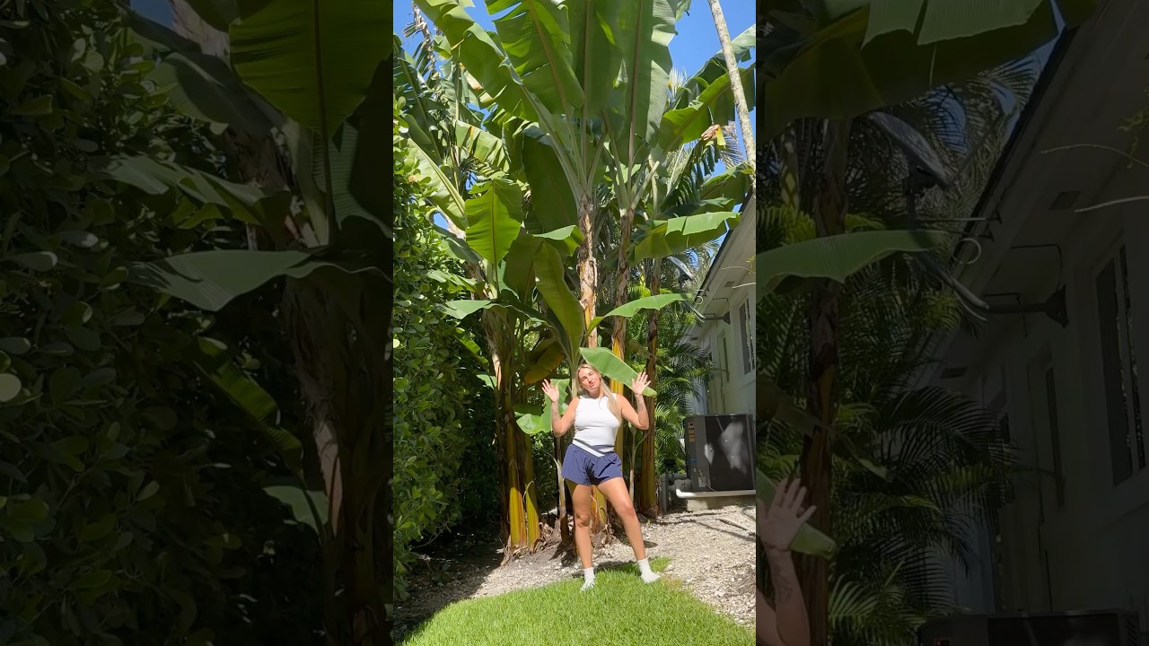 how to grow bananas at home 🍌