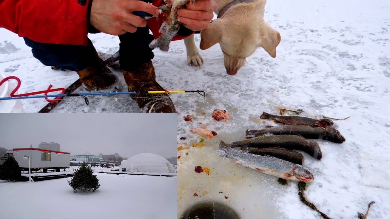 Village Nordik - P&ecirc;che sur Glace / ice fishing in quebec