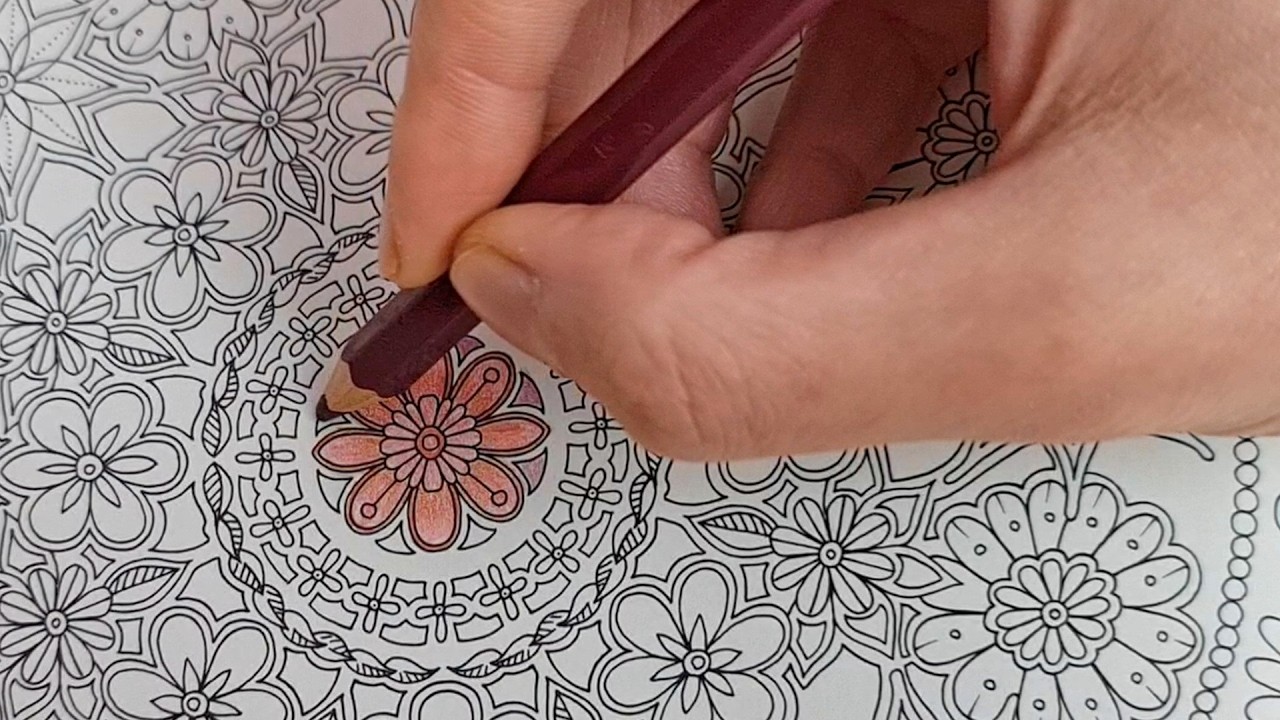 Coloring Insects of Secret Garden