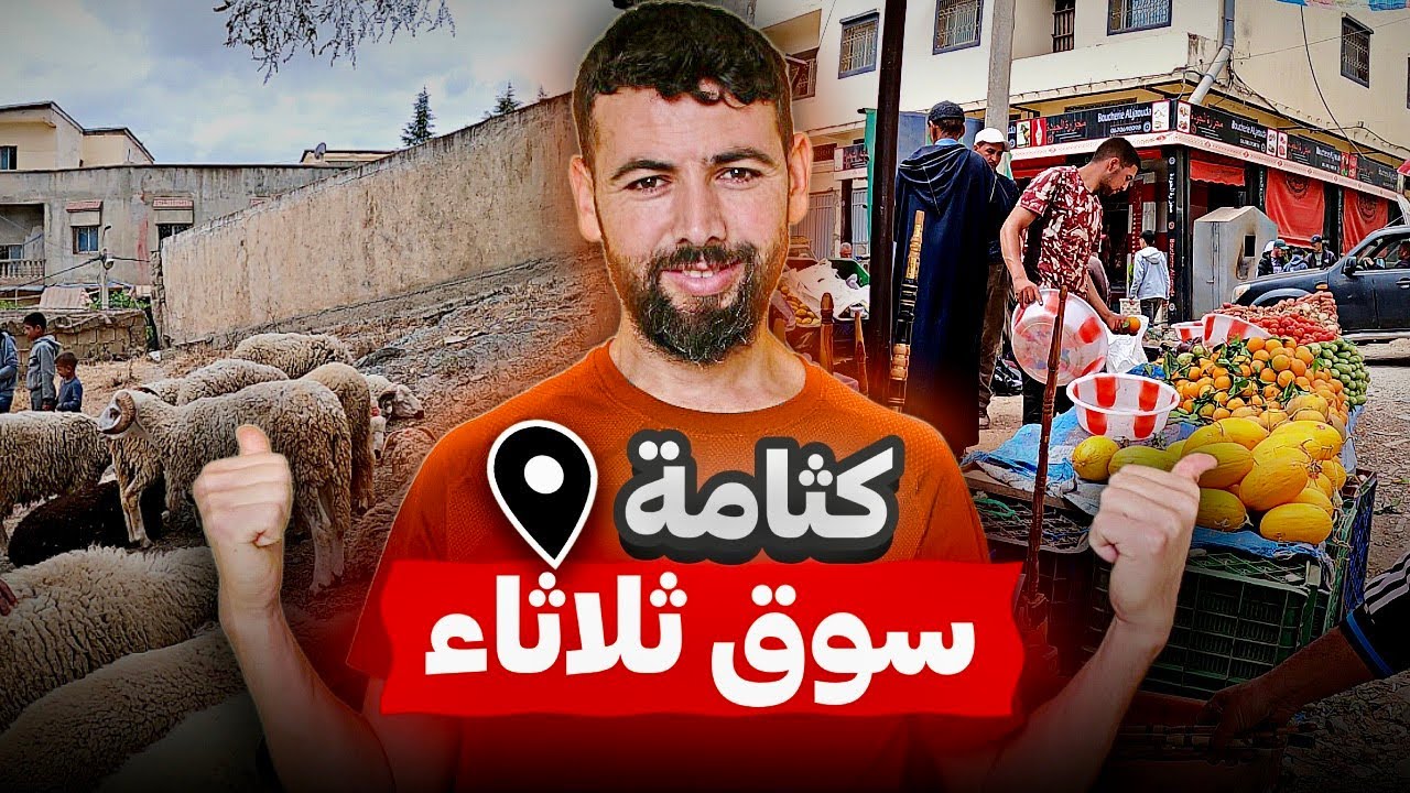 اليوم من سوق ثلاثاء كثامة نواحي الحسيمة أثمنة حولي العيد الأضحى rif🐏2024/06/11arif