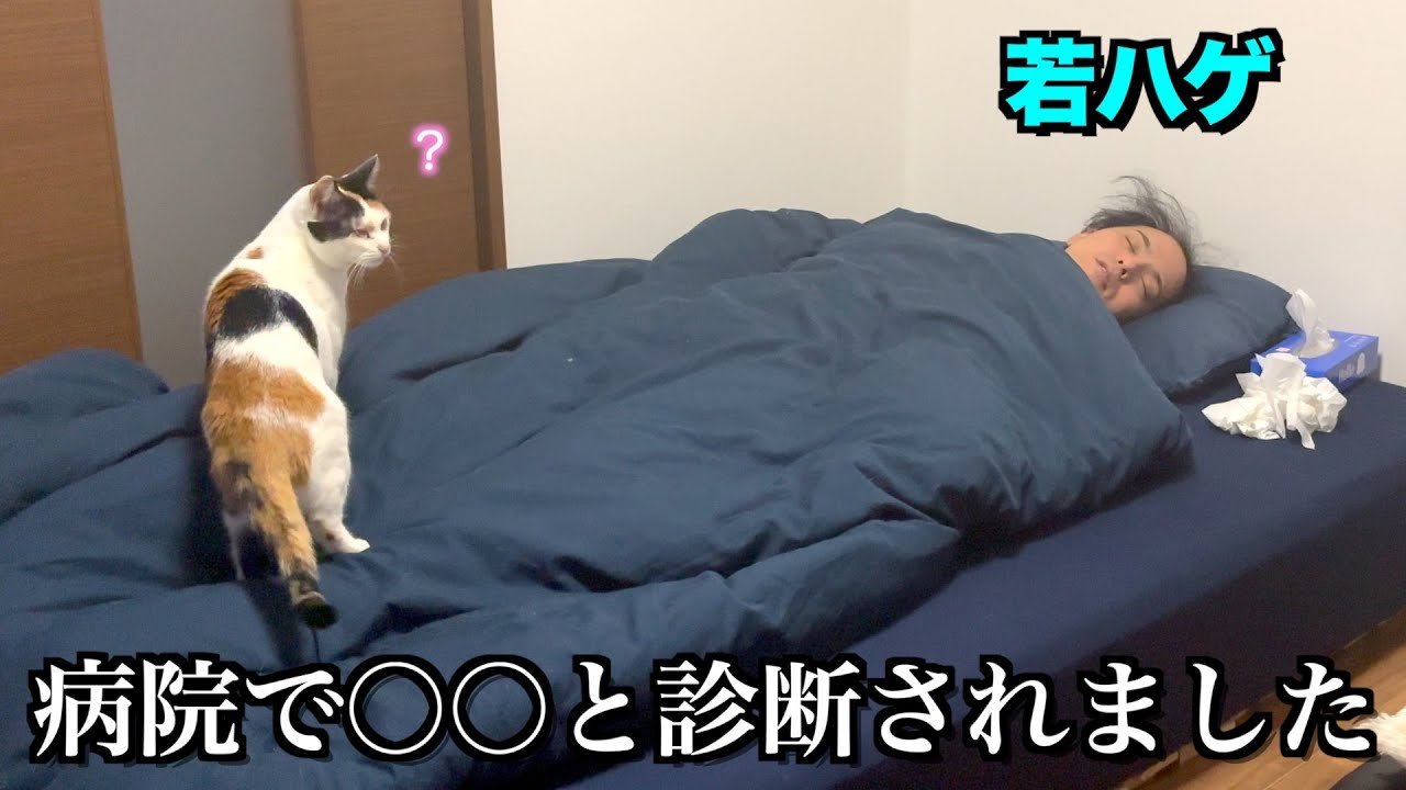 病院で〇〇と診断されたので地元鳥取で盲目の保護猫とゆっくり療養する若ハゲの1日