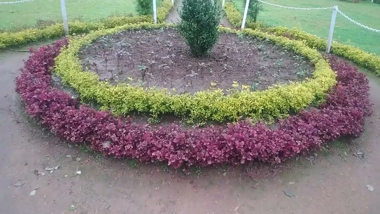 Ooty Tea Park ☕ so #beautiful place in #Ooty 🥶  #Enjoy the park
