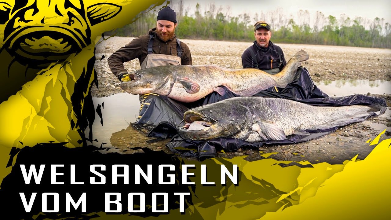 WELSANGELN vom Boot | welches Boot zum Welsangeln? | Tips & Tricks | Bootsangeln auf Waller teil 1