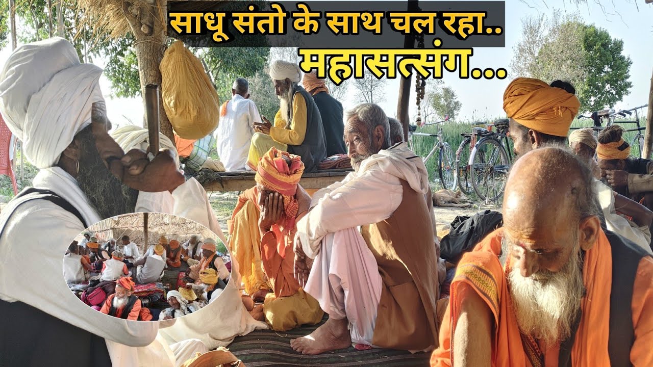 साधु संतों के साथ चल रहा महासत्संग l #sadhusanyasi #bhagvatkatha