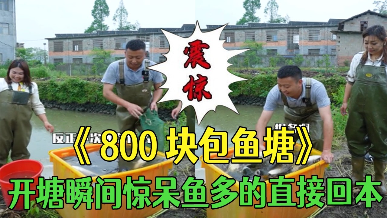 花800塊包壹口魚塘， 開塘瞬間驚呆魚多的直接回本 #小飛哥#新農人計劃 #三農 #抓魚 #我要上熱門 #護外