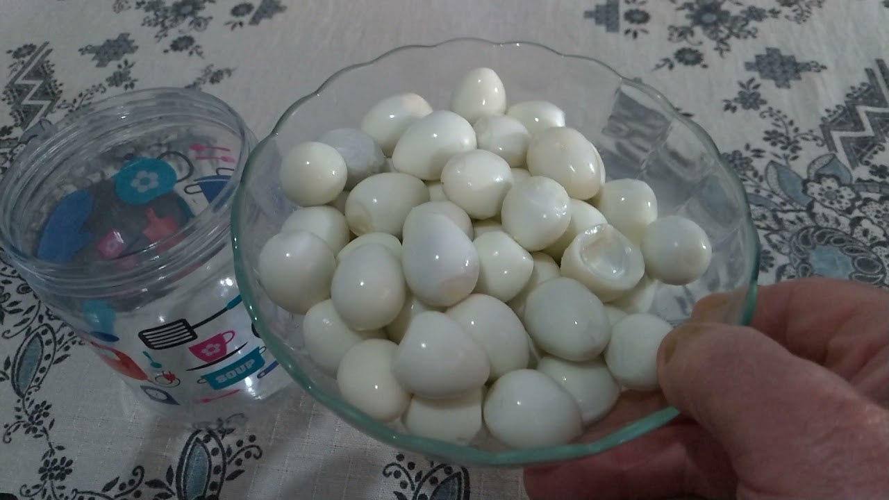 Delícia de Receita, Você Nunca Viu  Igual.