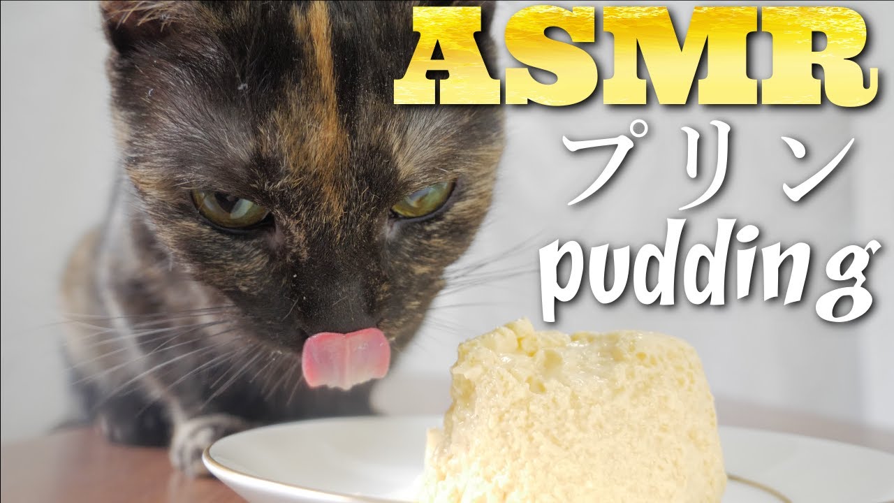 ASMR Cat Eating Pudding 🍮ネコ用自家製プリンを初めて食べる猫の咀嚼音🐈🎧