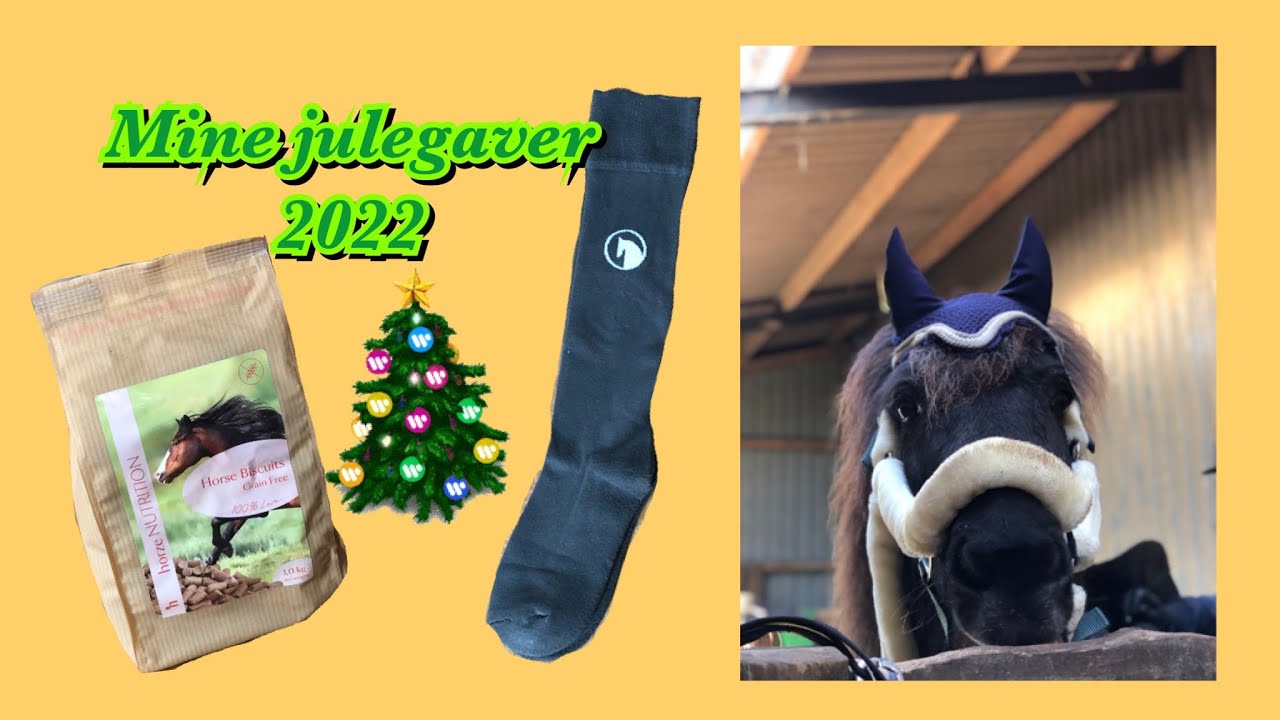 Julegave haul 2022 - Heste ting