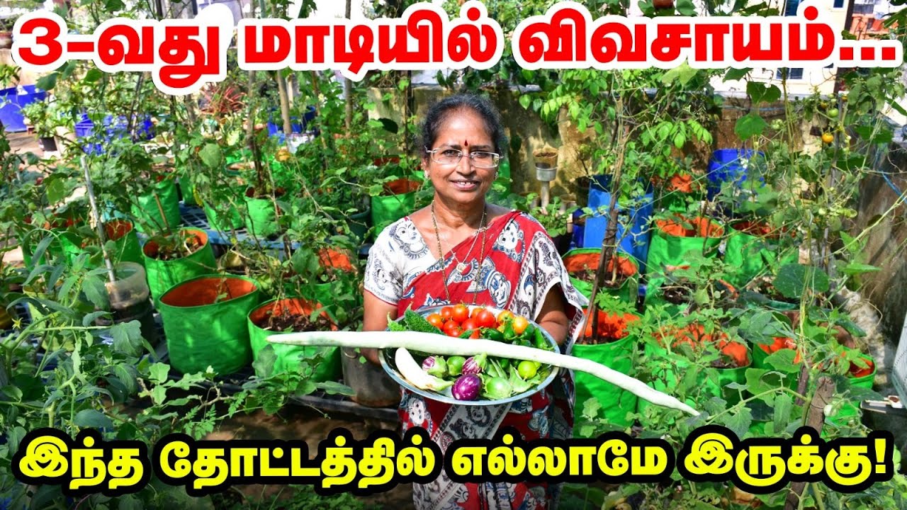 3-வது மாடியில் விவசாயம் - இந்த தோட்டத்தில் எல்லாமே இருக்கு | Pasumai Vikatan