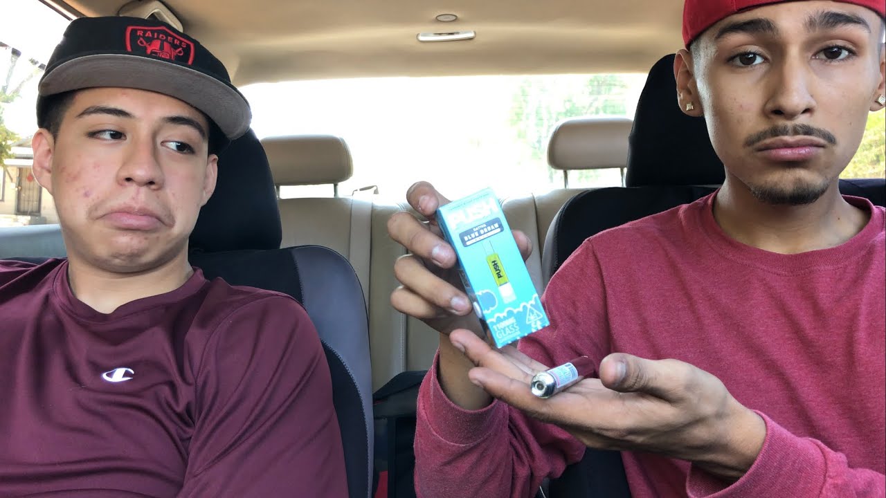 NEW PUSH CART BLUE DREAM REVIEW